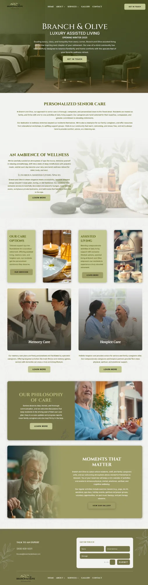 New Branch and Olive